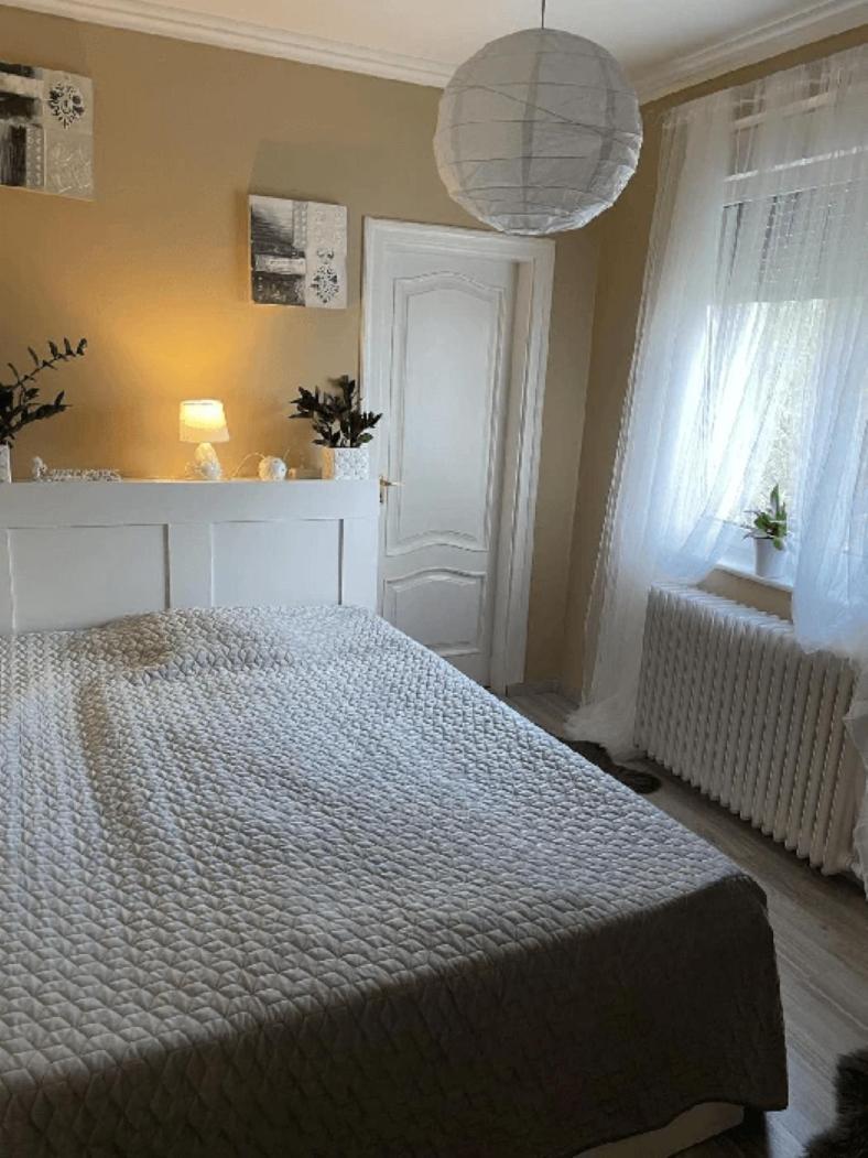 Bed and Breakfast Pava Panzio Soltvadkert Zewnętrze zdjęcie
